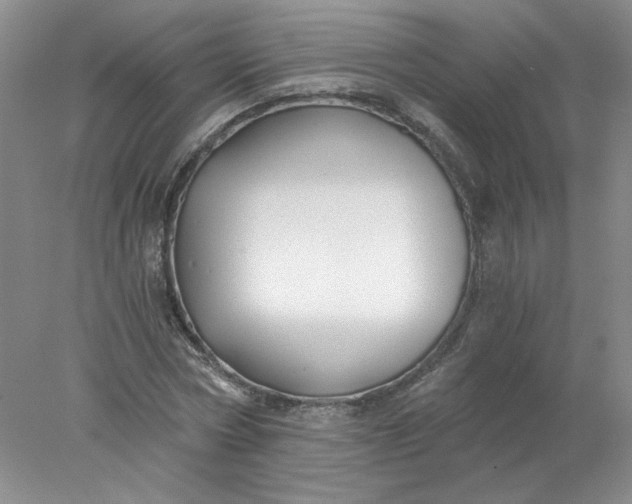 X0000078260778200611172003
