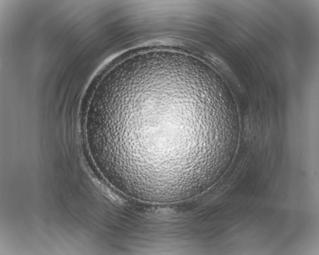 X0000078260784200611172003