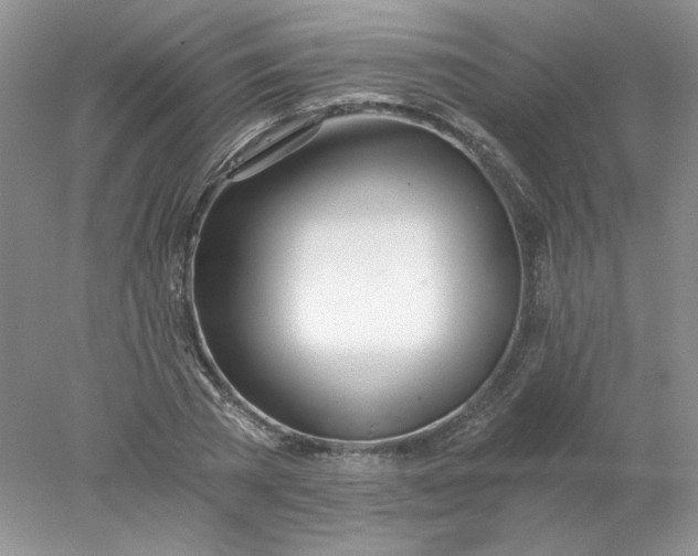 X0000078260785200611172003