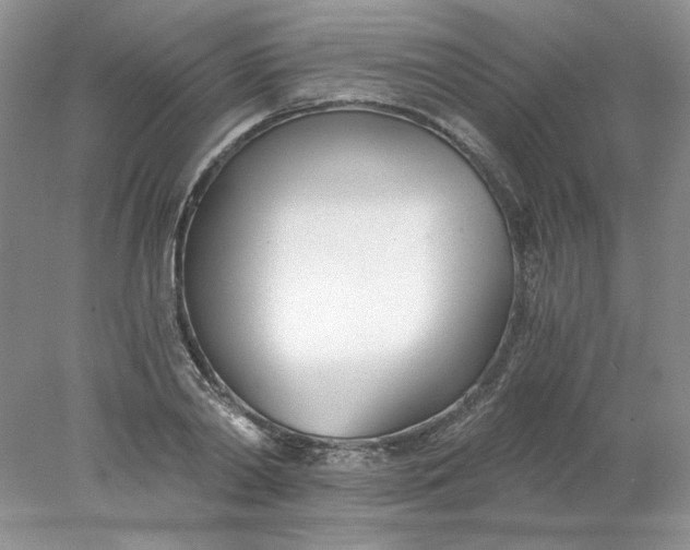 X0000078260790200611172003