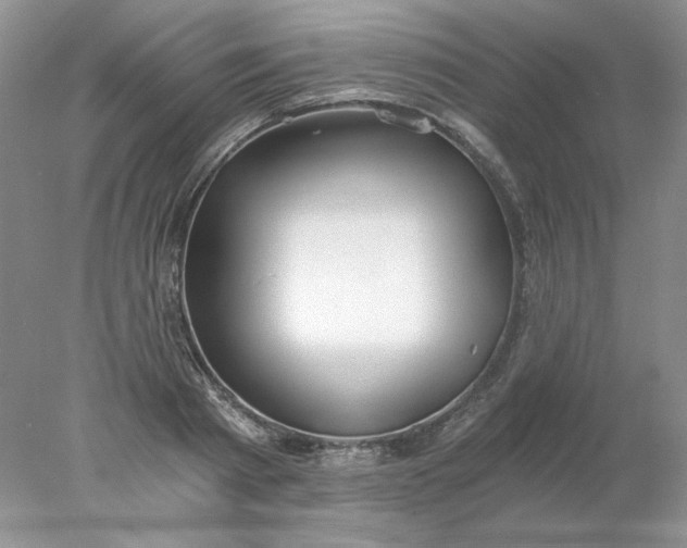 X0000078260793200611172003