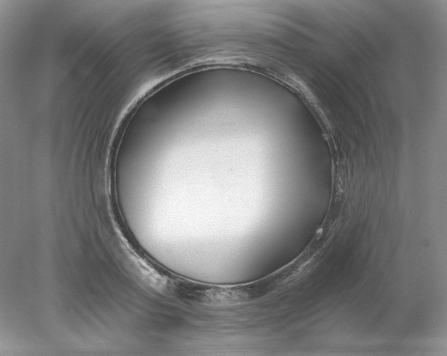 X0000078260795200611172003