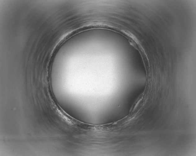 X0000078260799200611172003