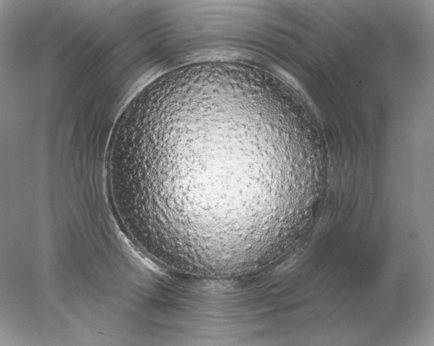 X0000078260802200611172003
