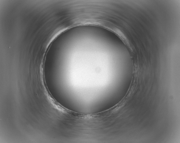 X0000078260814200611172003