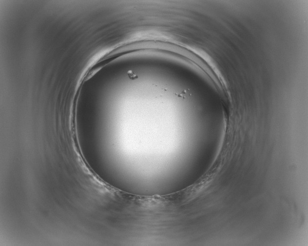 X0000078260815200611172003