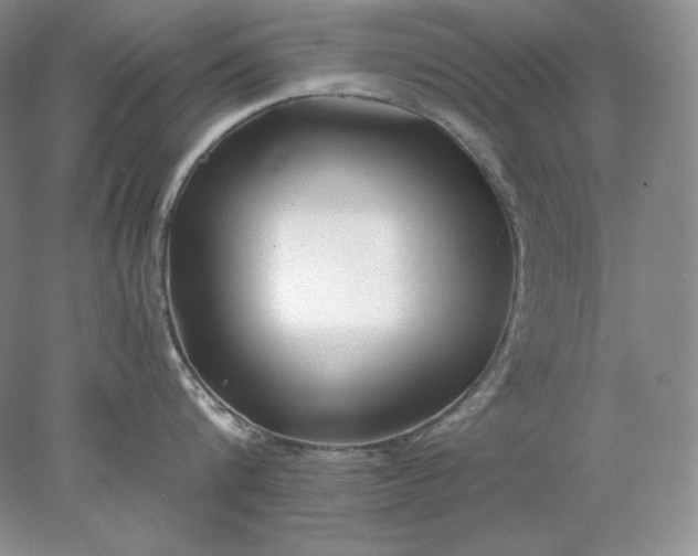 X0000078260816200611172003