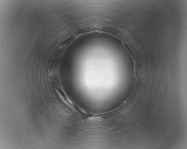 X0000078260818200611172002
