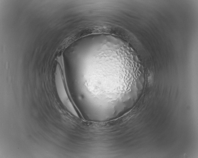 X0000078260819200611172002