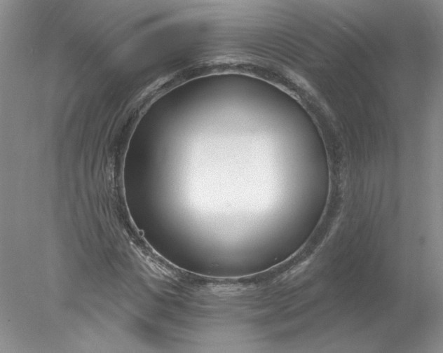 X0000078260825200611172002