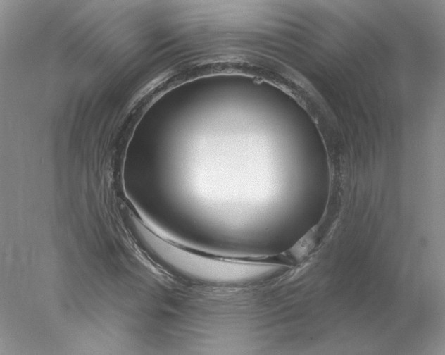 X0000078260826200611172002