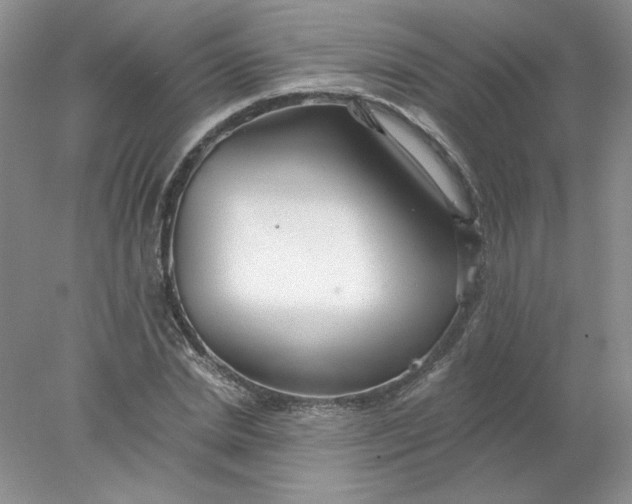 X0000078260830200611172002