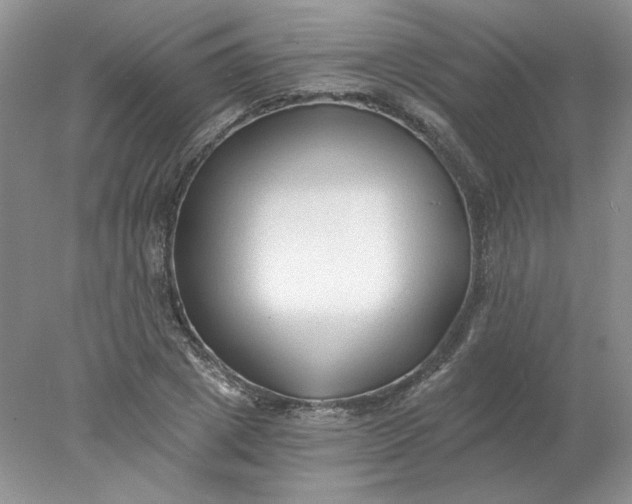 X0000078260833200611172002