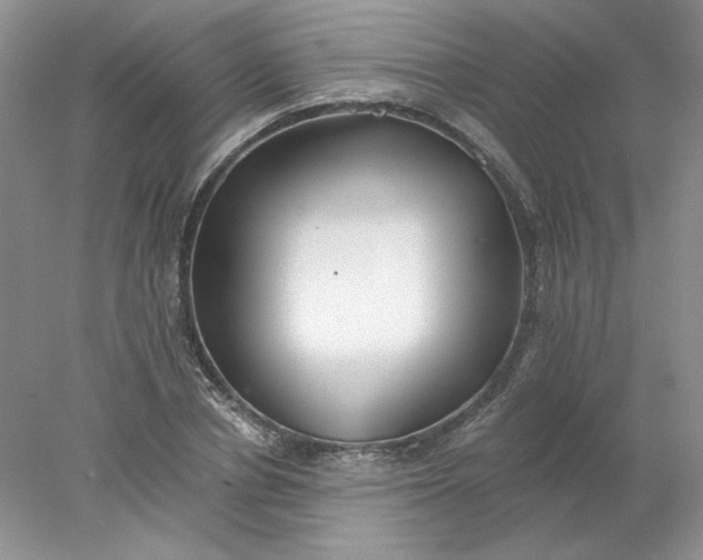 X0000078260834200611172002