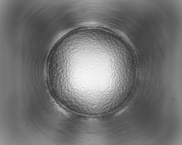 X0000078260839200611172002