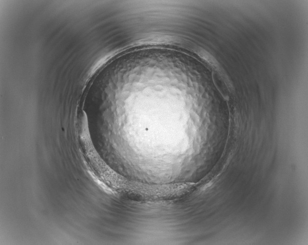 X0000078260842200611172002