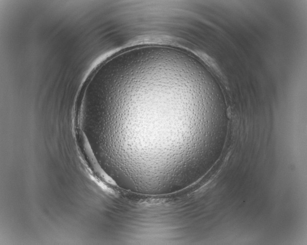 X0000078260846200611172003