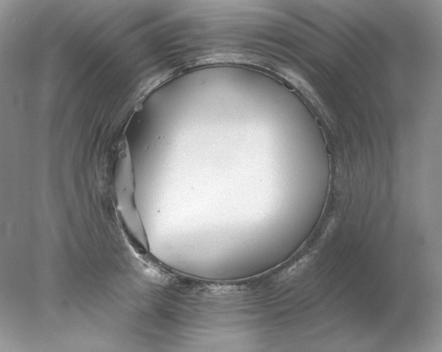 X0000078260849200611172003