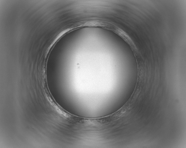 X0000078260852200611172003