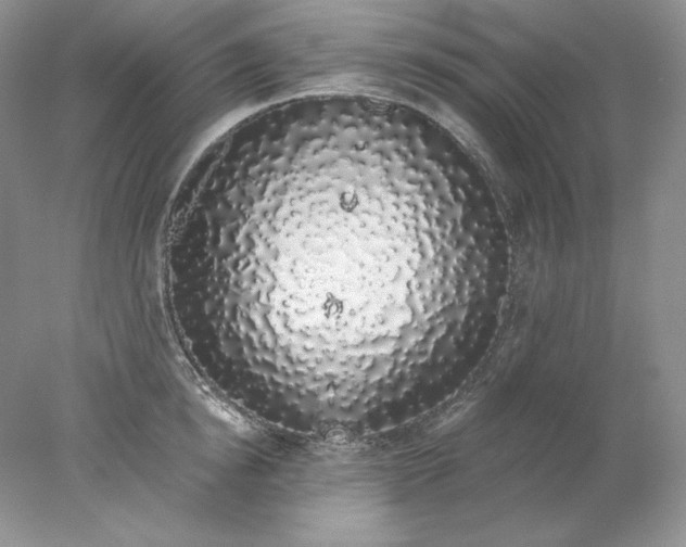 X0000078260854200611172003