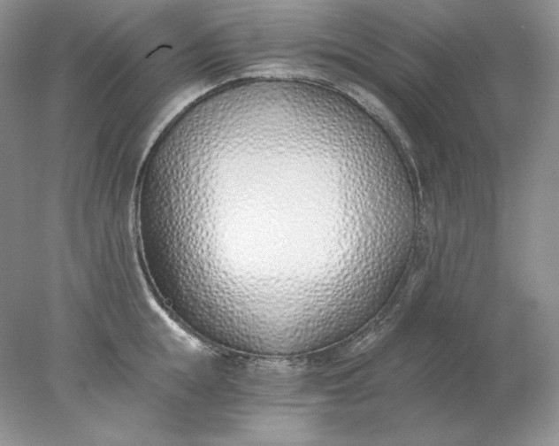 X0000078260855200611172003