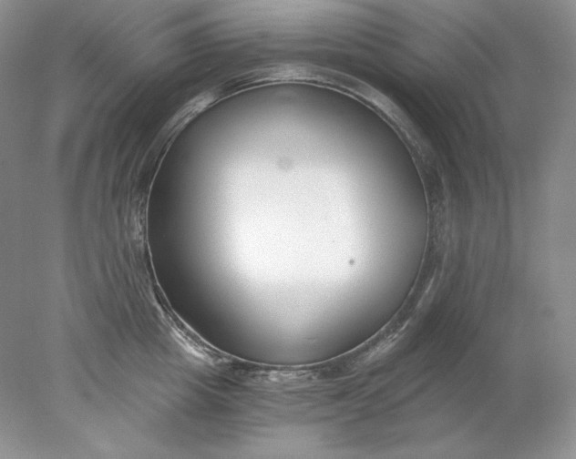 X0000078260857200611172003