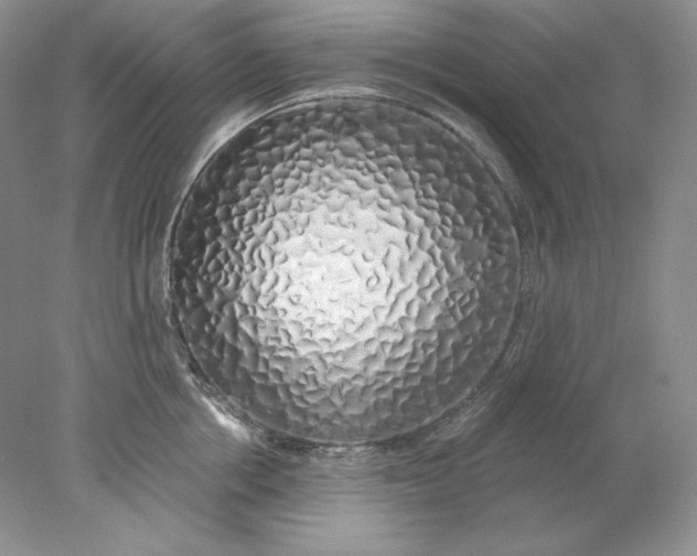 X0000078260858200611172003