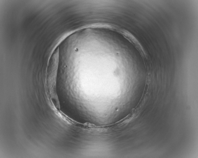 X0000078260860200611172003