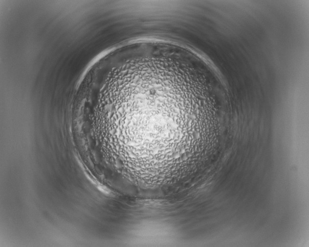 X0000078260862200611172003