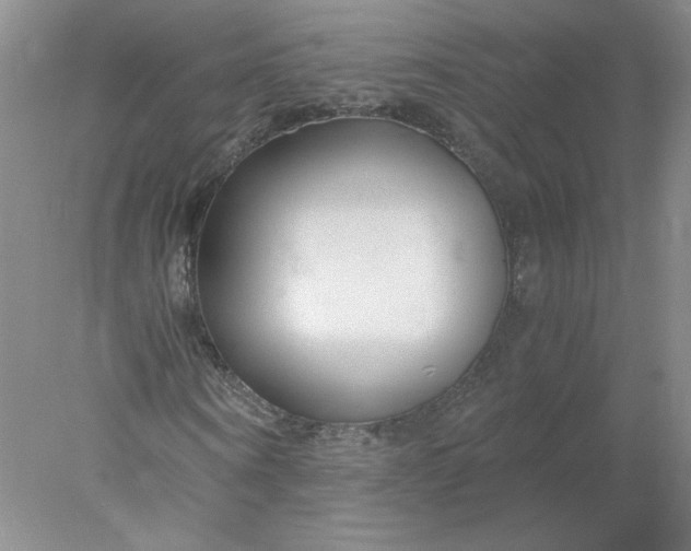 X0000078260866200611172002