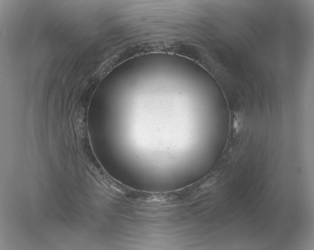 X0000078260867200611172002