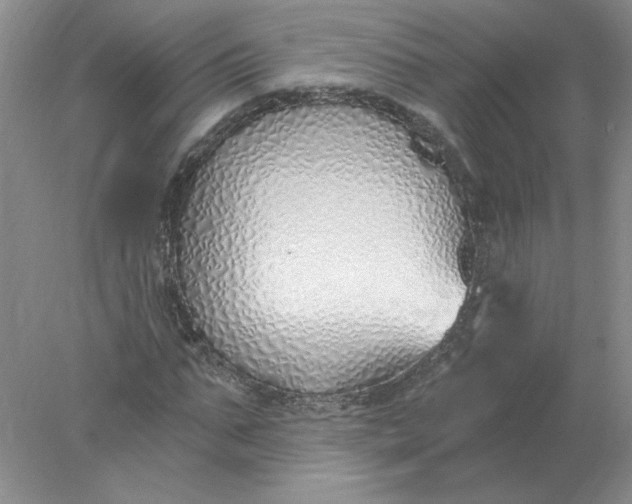 X0000078260871200611172002