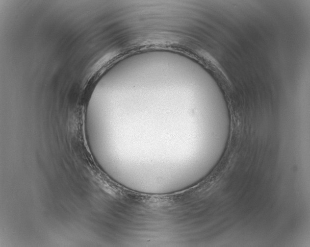 X0000078260874200611172002