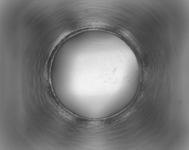 X0000078260883200611172002