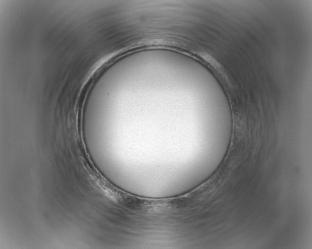 X0000078260886200611172002