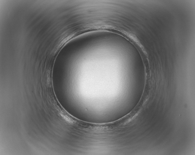 X0000078260889200611172002