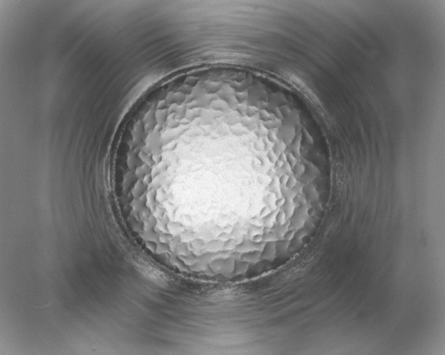 X0000078260891200611172002