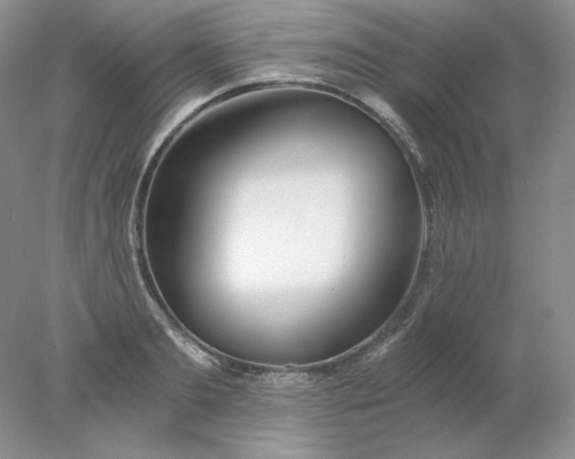 X0000078260893200611172002
