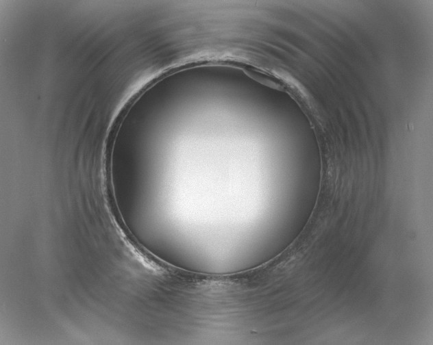 X0000078260894200611172002