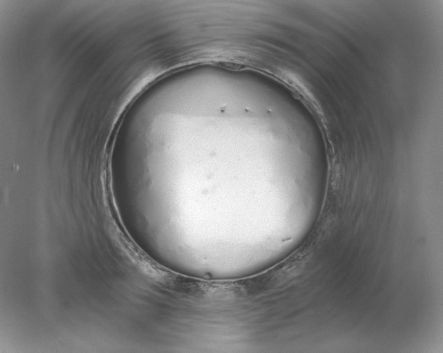 X0000078260899200611172001