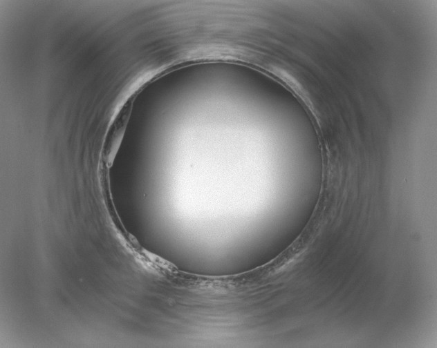 X0000078260901200611172001