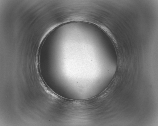 X0000078260904200611172001