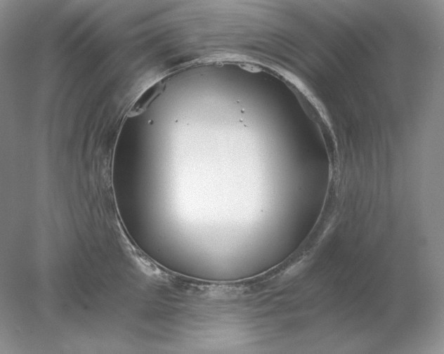 X0000078260905200611172001