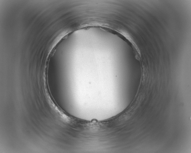 X0000078260906200611172001