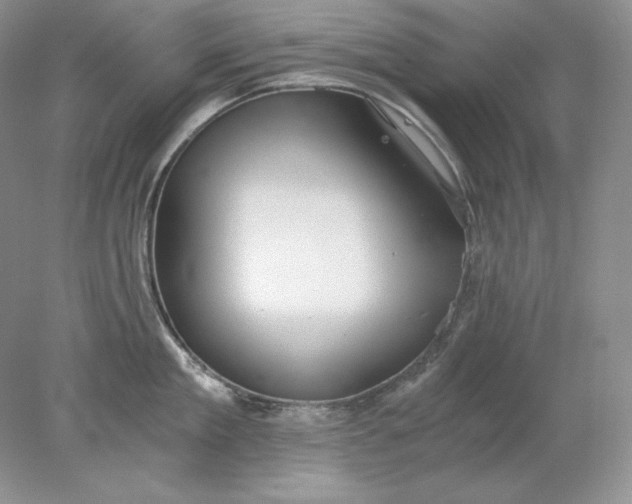 X0000078260909200611172001