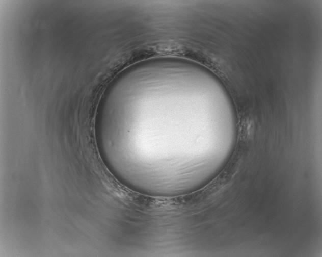 X0000078260913200611172000