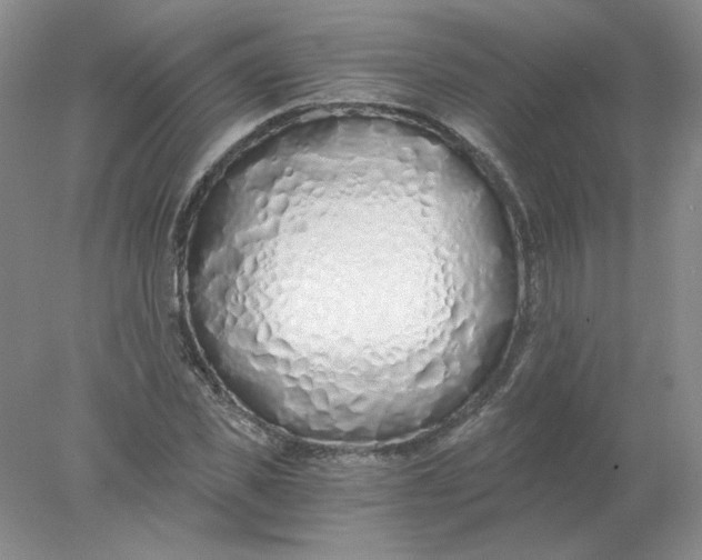 X0000078260925200611172001