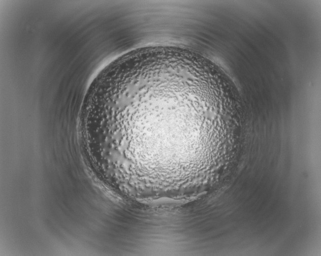 X0000078260928200611172001