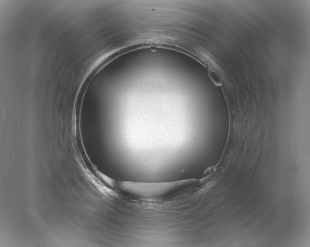 X0000078260940200611172001