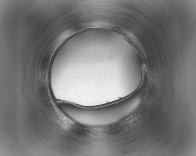 X0000078260946200611172001